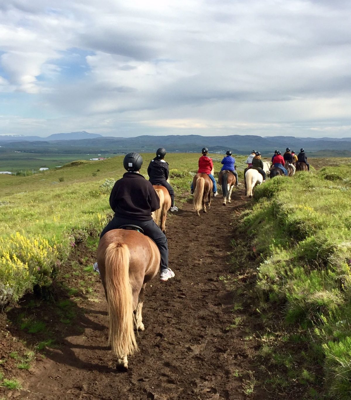 A group of people on horseback ride along a dirt path through a grassy landscape under a cloudy sky.