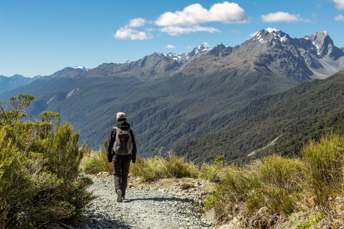 Person with a backpack walking on a mountain trail surrounded by greenery and distant snow-capped peaks under a clear blue sky.