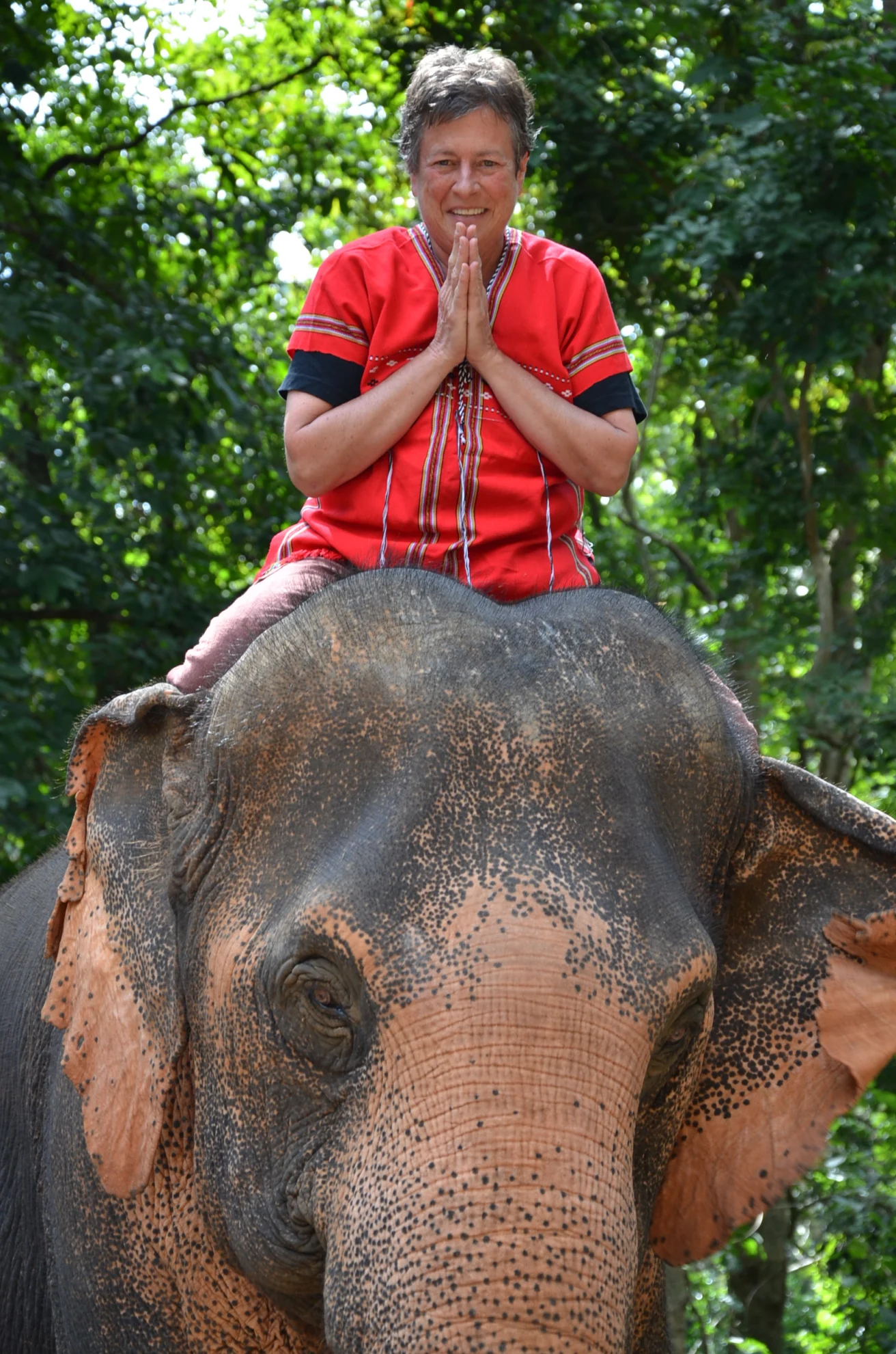 Person sitting on an elephant, wearing a red shirt, with hands together in a gesture of greeting, surrounded by green trees.