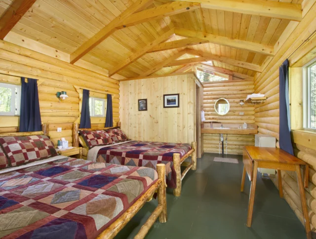 A rustic log cabin interior with two quilt-covered beds, a small wooden table, and a vanity area. Walls and ceiling are made of light wood. Three small windows provide natural light.