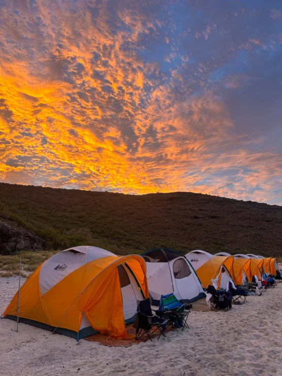 Row of orange tents on a sandy beach at sunset with a dramatic sky.