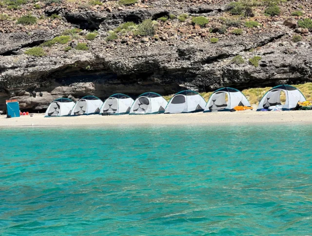 Line of tents set up on a sandy beach with clear turquoise water in the foreground and rocky cliffs in the background.