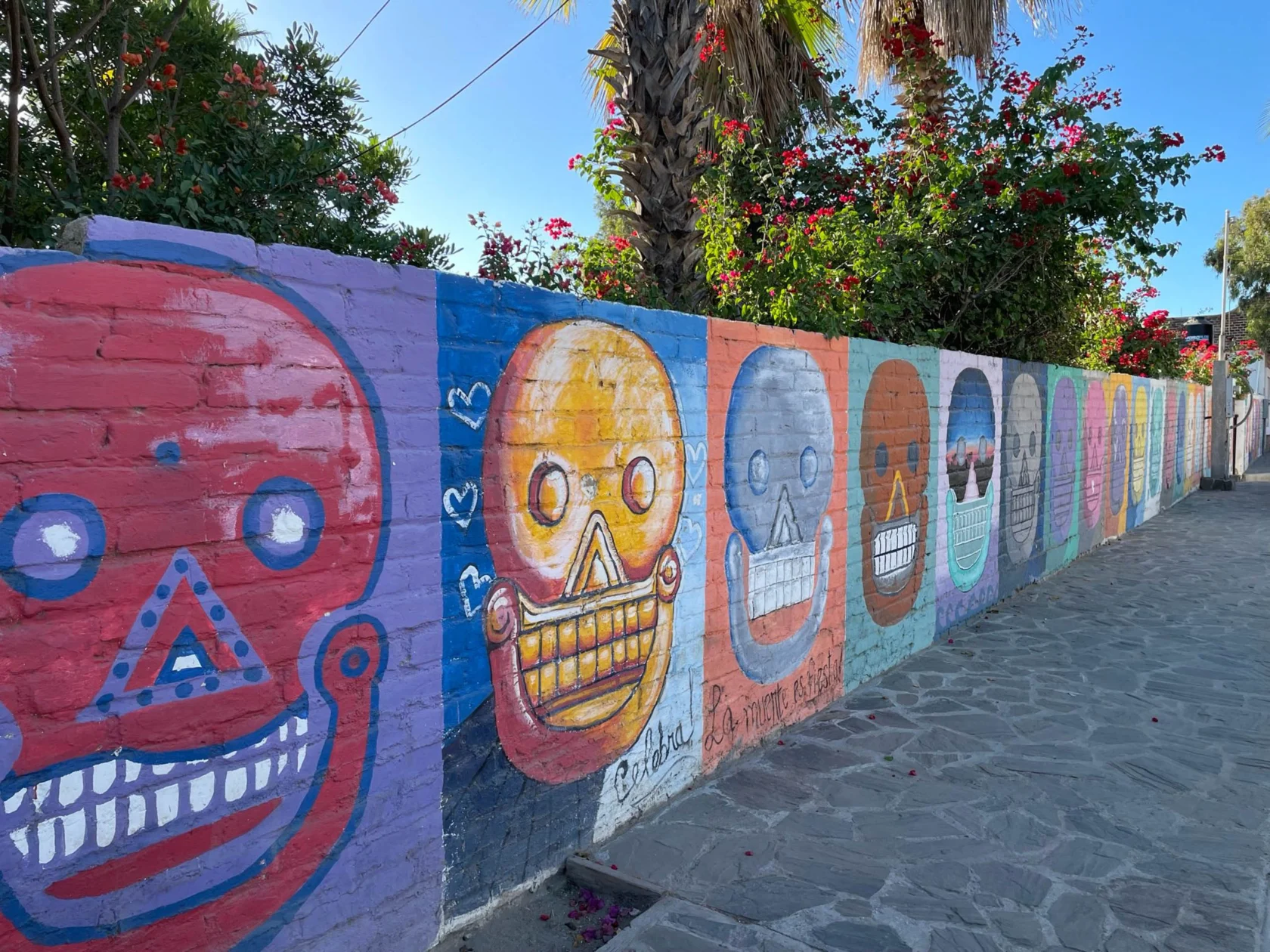 Colorful mural of skulls painted on a brick wall, with trees and flowers in the background.