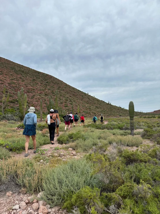 A group of people hiking on a rocky trail in a desert landscape with cacti and shrubbery under a cloudy sky.