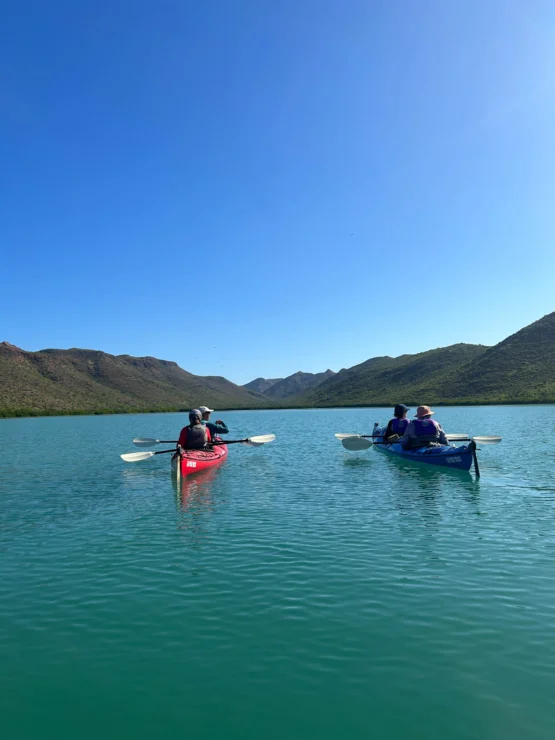 Two kayaks with people paddling on a calm lake, surrounded by green hills under a clear blue sky.