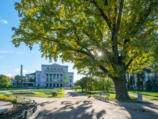 A large tree with sun rays shining through its branches is in the foreground of a city park, with a grand building in the background.