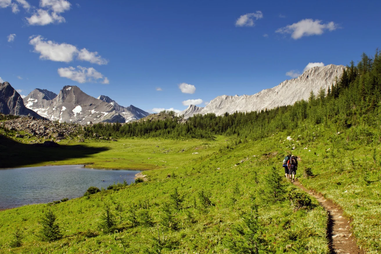 Hikers walk along a narrow path beside a lake surrounded by green grass, pine trees, and snow-capped mountains under a blue sky with scattered clouds.