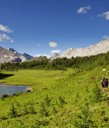 Hikers walk along a narrow path beside a lake surrounded by green grass, pine trees, and snow-capped mountains under a blue sky with scattered clouds.
