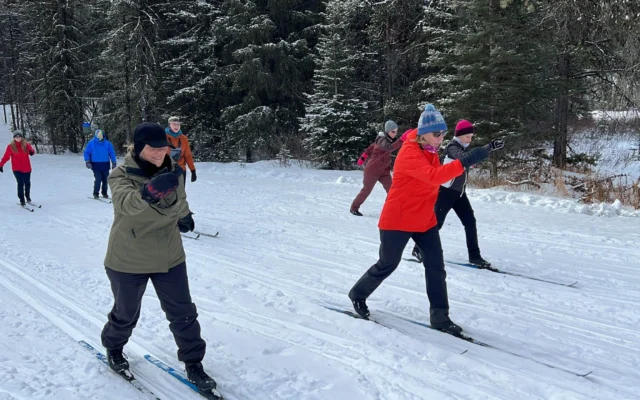 A group of people cross-country skiing on a snowy trail, surrounded by snow-covered trees.