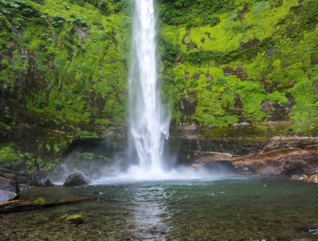A waterfall cascades over moss-covered rocks into a tranquil pool surrounded by lush greenery.