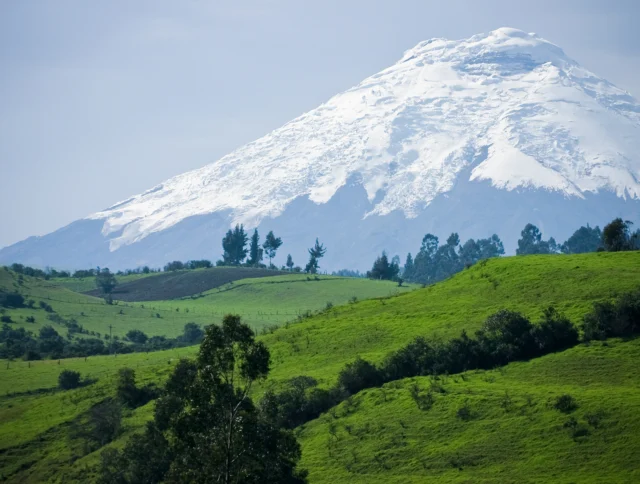 Snow-capped mountain rising behind green rolling hills and scattered trees under a clear blue sky.