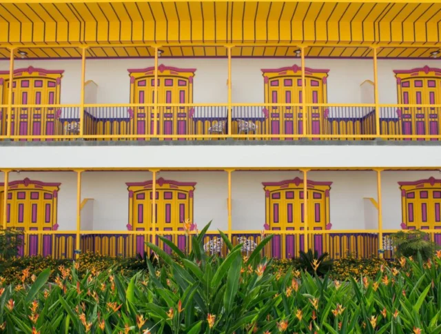 A building facade features two floors with yellow and magenta doors and railings. Green plants with orange flowers are in front.
