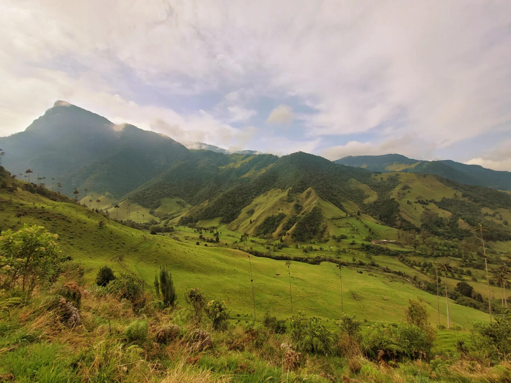 A serene landscape of lush green hills and valleys with a mountain range in the background under a cloudy sky.