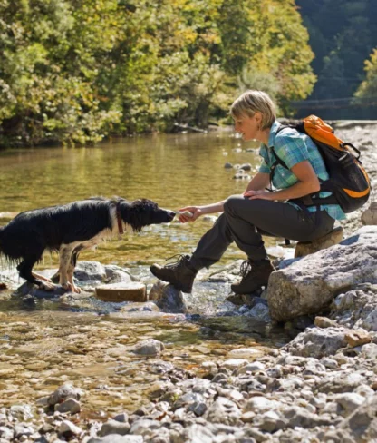 Woman sitting on rocks by a shallow river, reaching out to a dog standing in the water. She is wearing a backpack. Trees are in the background.