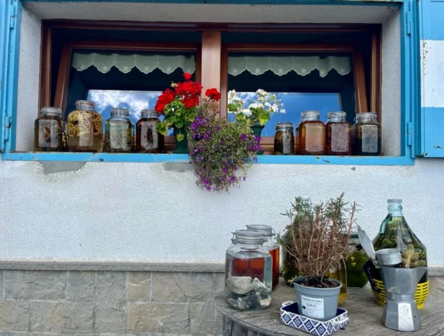 Jars with various contents are displayed on a windowsill, with flowers in the center. Below, a table holds a potted plant and a large bottle.