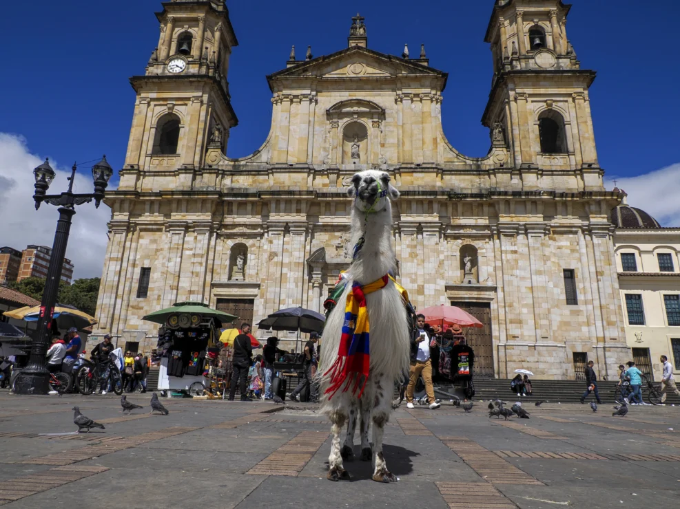 A llama wearing a colorful scarf stands in front of a historic stone cathedral, with people and pigeons in the plaza.