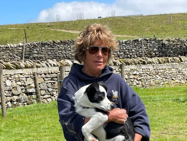 A person in sunglasses holds a black and white dog outdoors on a grassy area, with a stone wall and blue sky in the background.