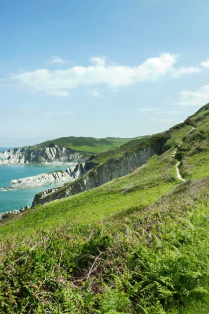 A dirt path winds along a green hillside overlooking a coastal cliff and blue ocean under a clear sky.