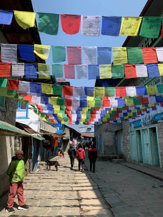 A narrow street with people walking, lined with colorful prayer flags overhead. Stone buildings and a dog are visible.