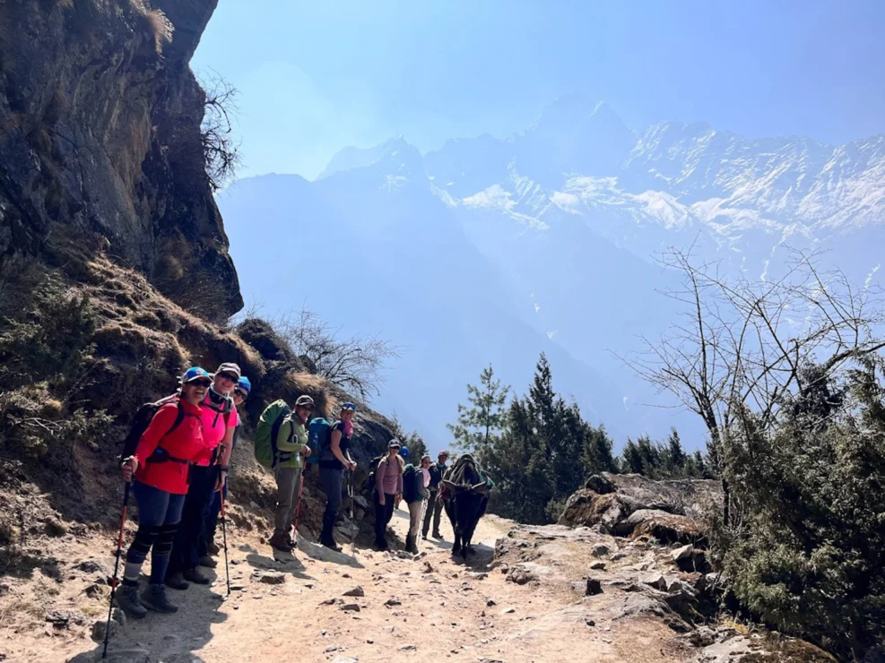 Hikers with backpacks and poles on a sunlit mountain trail, surrounded by trees and distant snow-capped peaks.