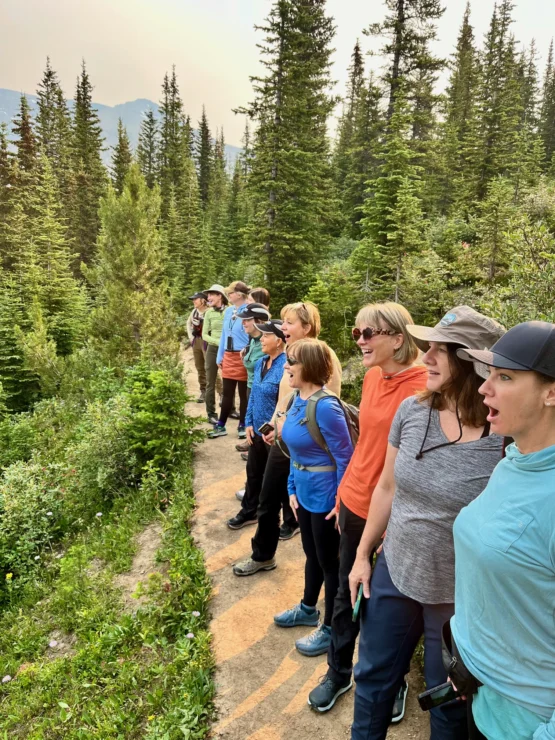 A group of people stands on a forest trail, looking in one direction, surrounded by tall trees and greenery.