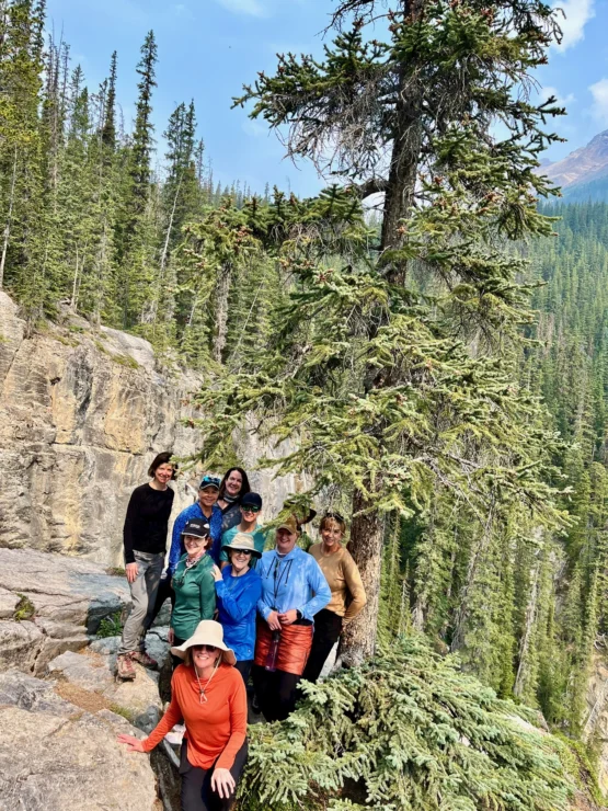 A group of people pose on a rocky trail surrounded by tall evergreen trees.