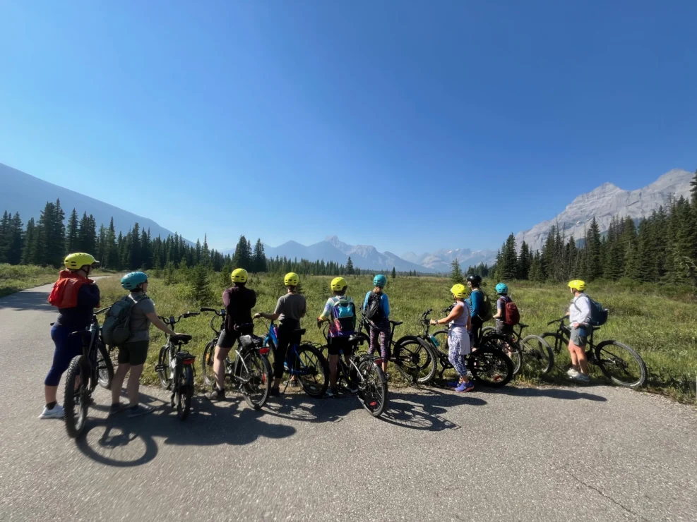 A group of cyclists wearing helmets and backpacks pause on a paved road, surrounded by mountains and trees under a clear blue sky.