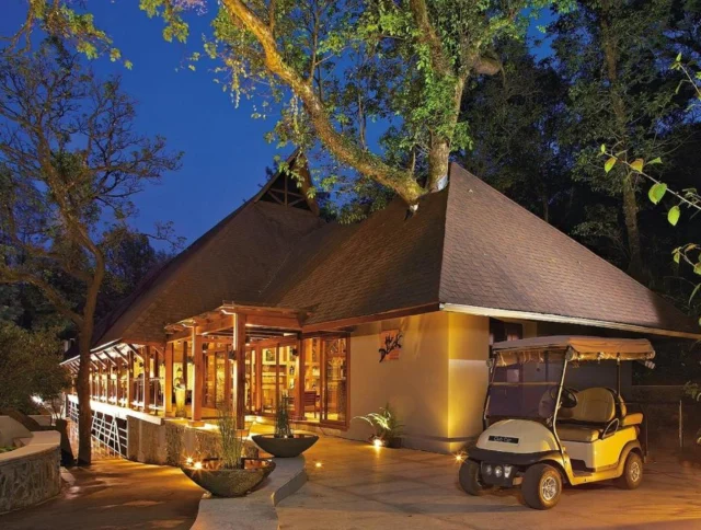 Tamara Coorg