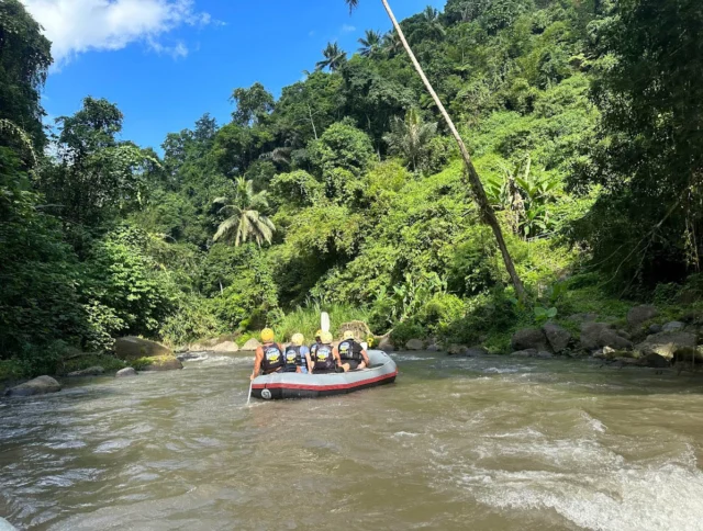 A group of people wearing helmets are rafting down a river surrounded by lush green tropical forest.