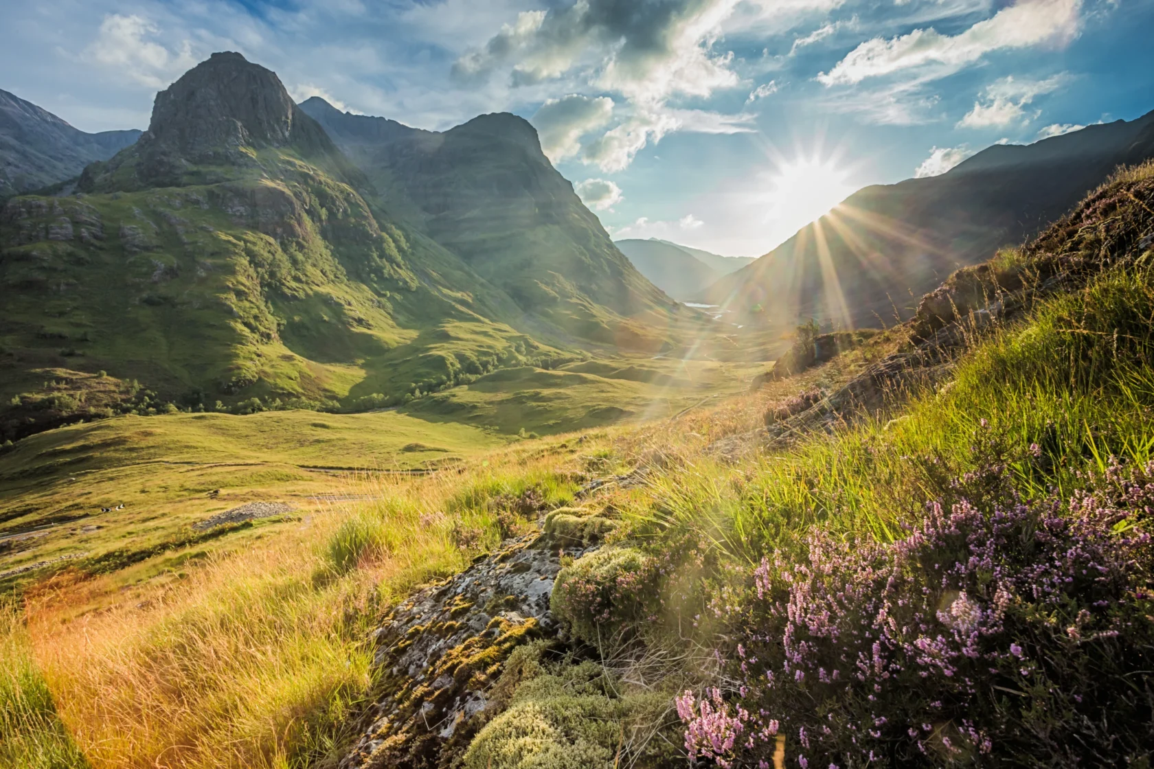 A sunny landscape of rolling green hills with a rocky foreground, purple wildflowers, and a bright sun shining through clouds in the sky.