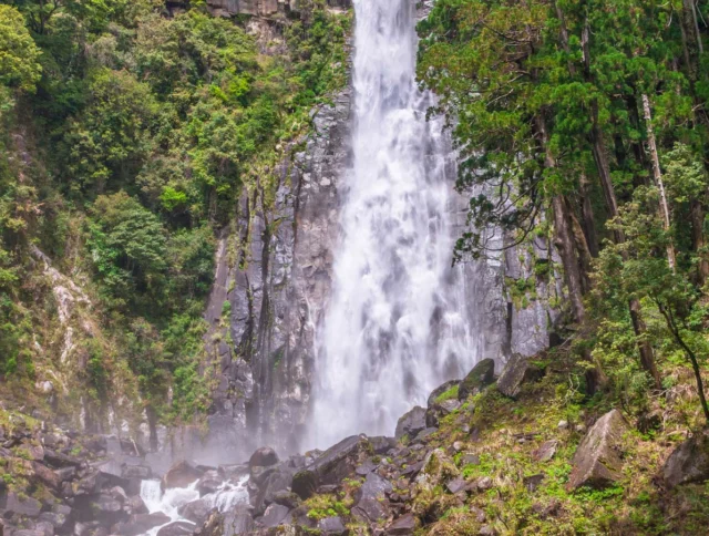 A tall waterfall cascades down a rocky cliff surrounded by lush green trees.