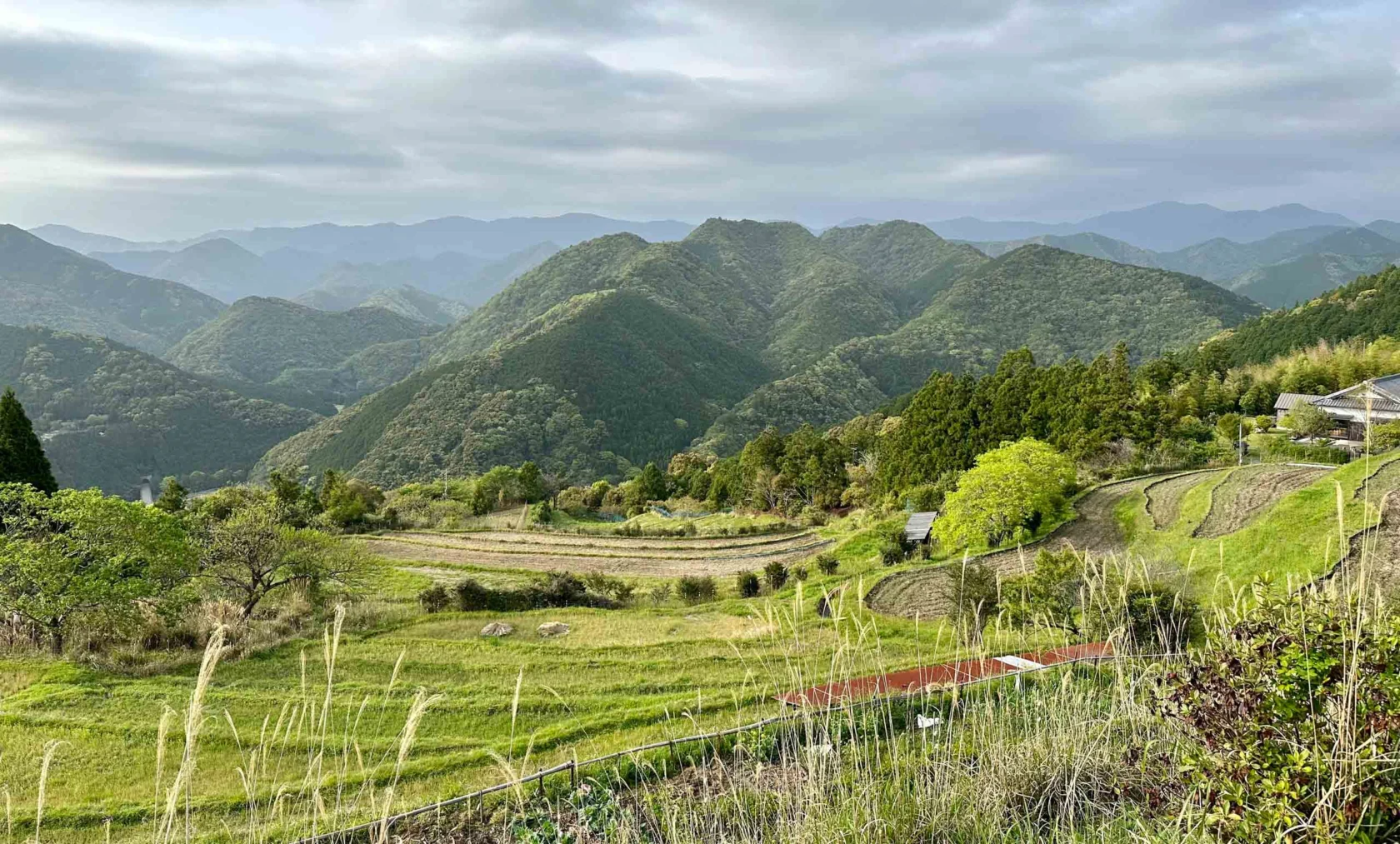 Mountainous landscape with lush green hills, terraced fields, and overcast sky. Grassy foreground with trees scattered throughout the scene.