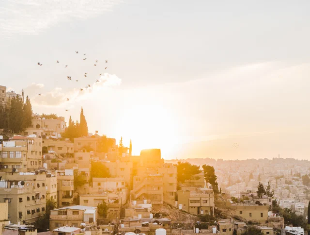 Sunset over a cityscape with birds flying above and buildings on a hillside.