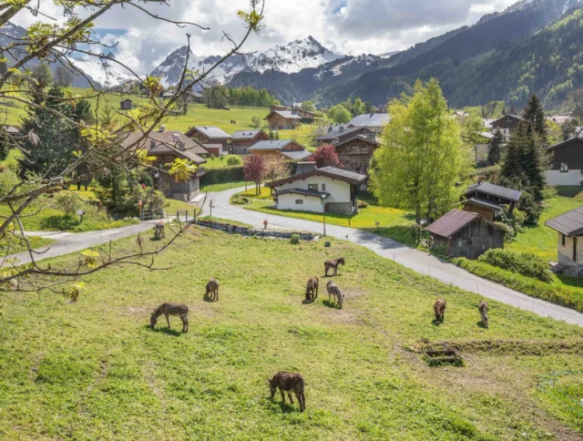 A picturesque alpine village with grazing animals in a green meadow, surrounded by trees and snow-capped mountains under a partly cloudy sky.