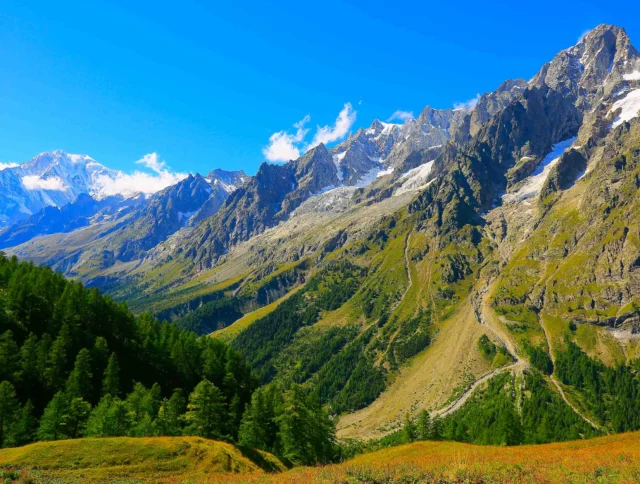 Mountain range under a clear blue sky with green forested slopes in the foreground.