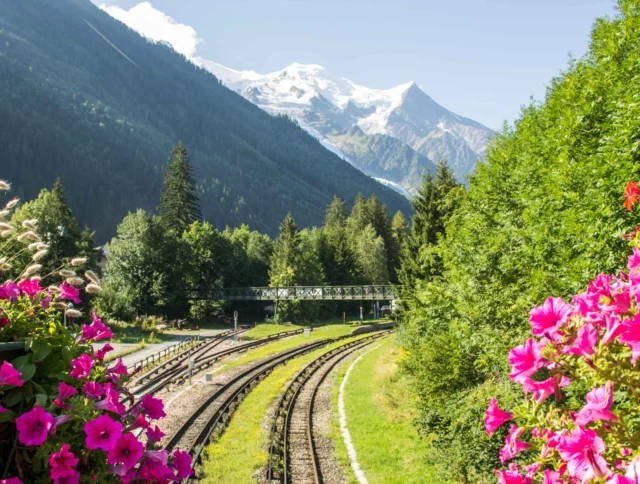 Railway tracks curve through a lush valley with vibrant pink flowers in the foreground and snow-capped mountains in the background under a clear blue sky.