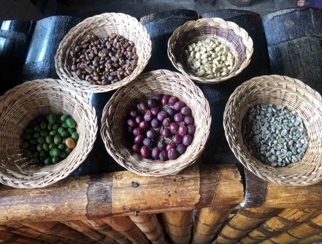 Five wicker baskets display various coffee beans and cherries, representing different stages of the coffee bean process.