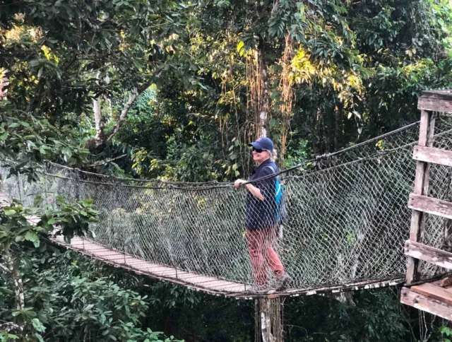 Person walking on a narrow rope bridge surrounded by dense green trees.