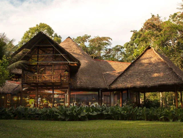 Wooden building with a thatched roof surrounded by lush greenery and trees.