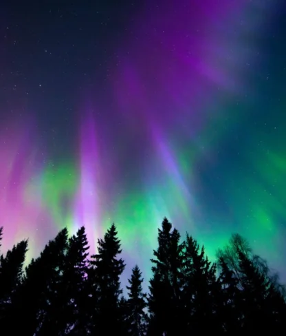 Colorful aurora borealis lights up the night sky above a silhouette of tall pine trees.