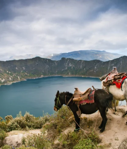 Two saddled horses stand on a cliff overlooking a blue lake surrounded by mountains under a cloudy sky.