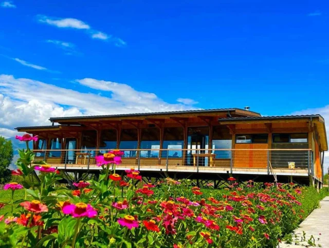 A wooden building with large windows is surrounded by a garden of vibrant pink and red flowers under a clear blue sky.