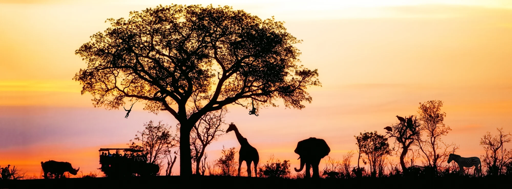 Silhouettes of a tree, safari vehicle, giraffe, elephant, and other animals at sunset.