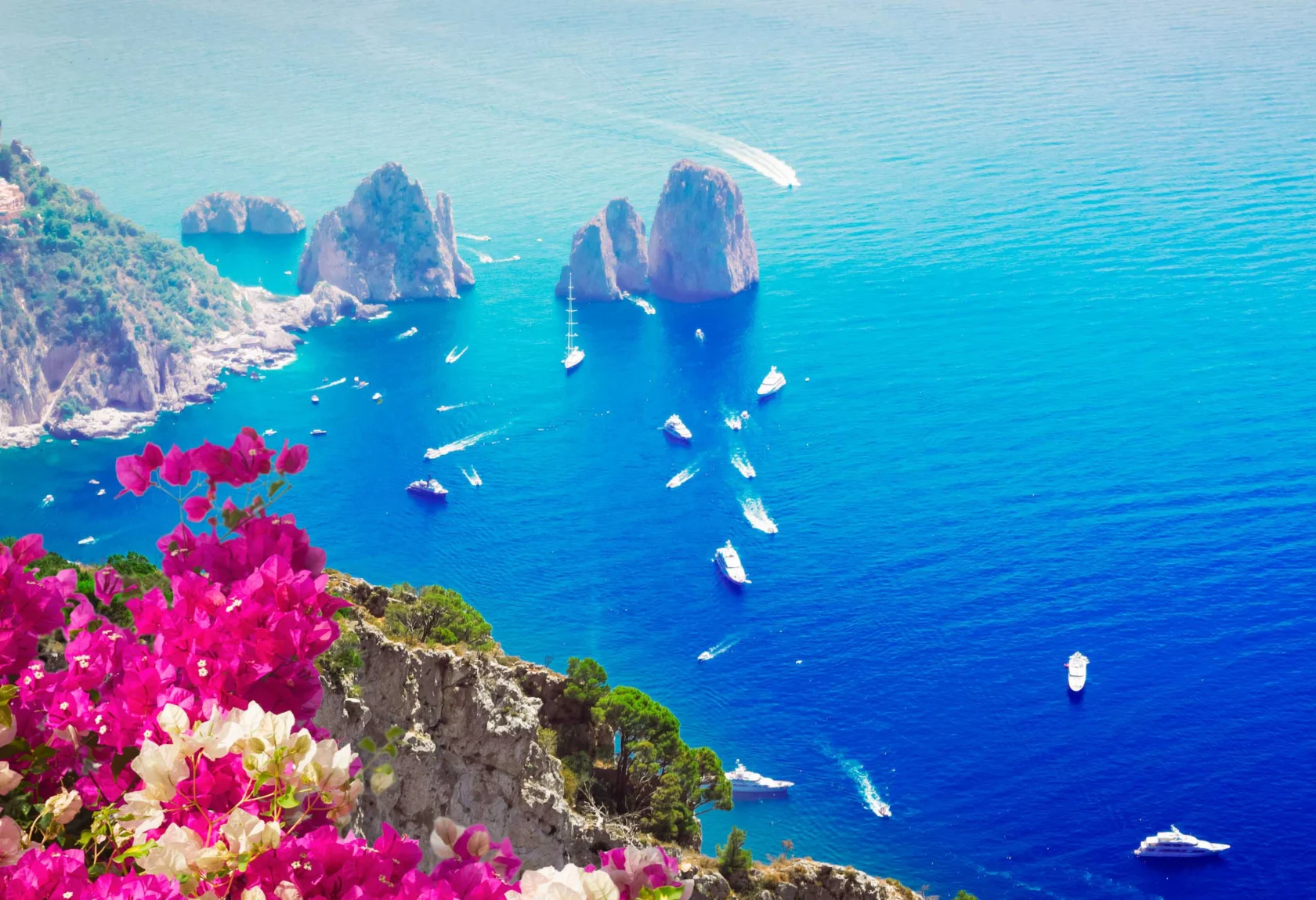 View of blue sea with rocky formations and boats, surrounded by cliffs and vibrant pink flowers in the foreground.