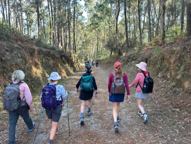 Group of hikers walking along a forest trail, surrounded by tall trees and wearing backpacks and hats.