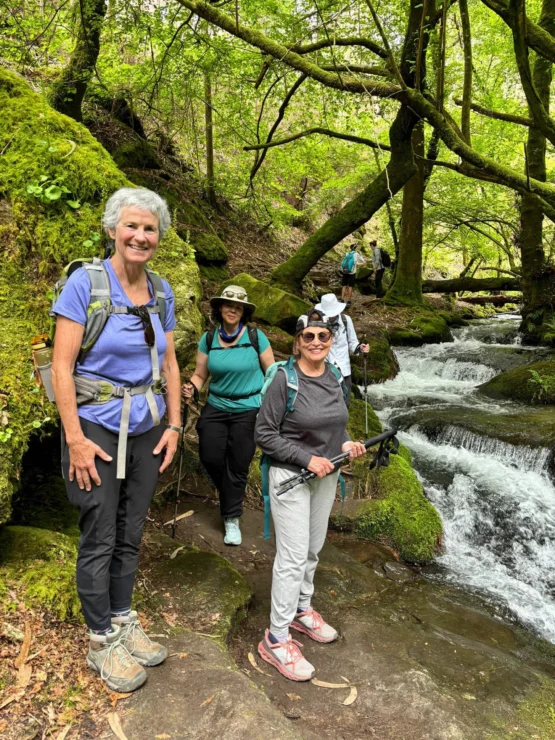 Three people with hiking gear stand on a mossy forest trail by a flowing stream, surrounded by lush green trees.