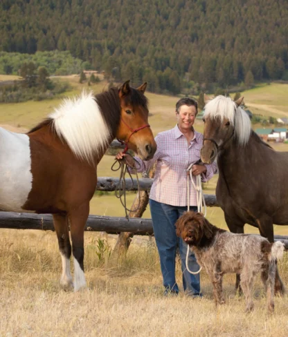 A person stands with two horses and a dog in a field, with a wooden fence and forested hills in the background.