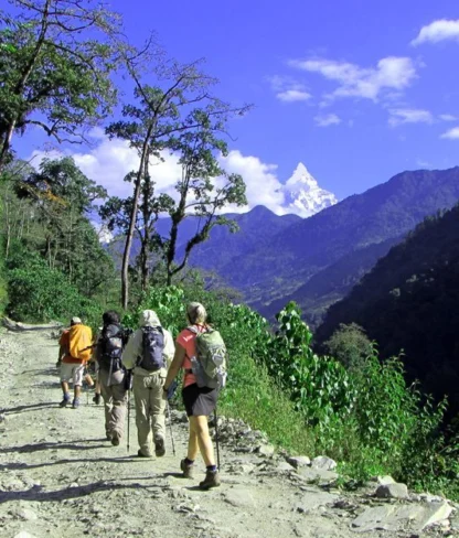 Hikers walking along a rugged mountain path surrounded by lush greenery and distant peaks under a bright blue sky.