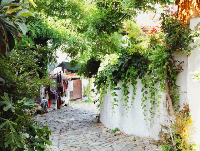A narrow cobblestone path lined with lush green plants and white walls. Laundry hangs on the left, and sunlight filters through the foliage.