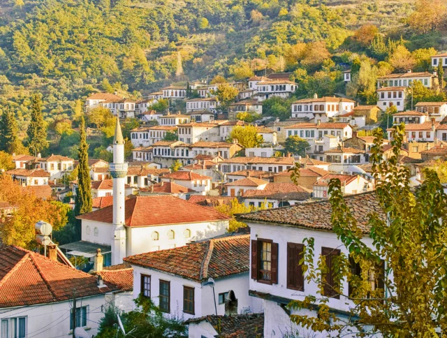 View of a hillside village with numerous white and red-roofed houses surrounded by green trees. A mosque with a minaret is visible among the houses.
